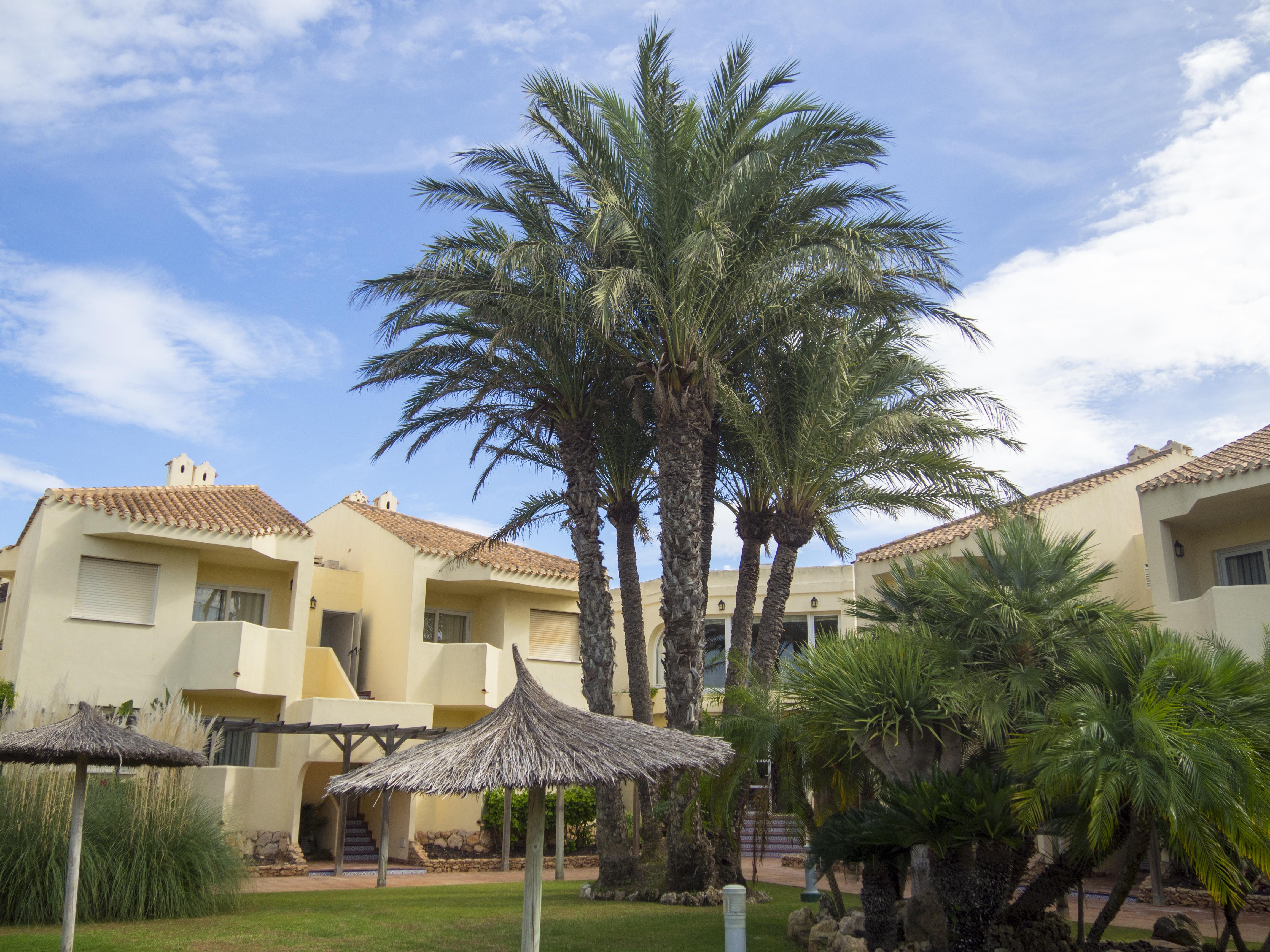 Aparthotel Villas La Manga מראה חיצוני תמונה